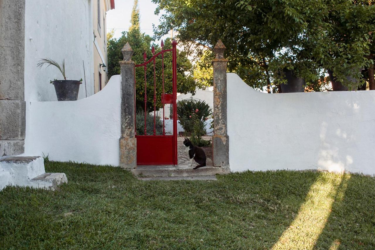 Casa Das Alfazemas Com Piscina, Jardim E Snooker Adao Lobo 외부 사진